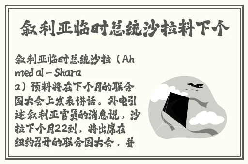 寻小小猫爪影像作品网站